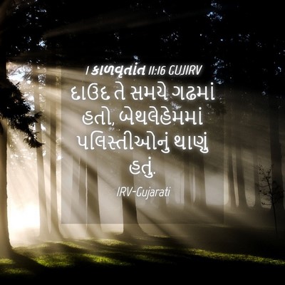 Picture 04 - 1 કાળવૃતાંત 11:16 GUJIRV - દાઉદ તે સમયે ગઢમાં - Bible Verse Picture
