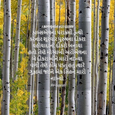 Picture 04 - 1 કાળવૃતાંત 11:22 GUJIRV - કાબ્સએલના - Bible Verse Picture