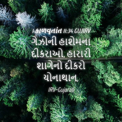 Picture 04 - 1 કાળવૃતાંત 11:34 GUJIRV - ગેઝોની હાશેમના - Bible Verse Picture