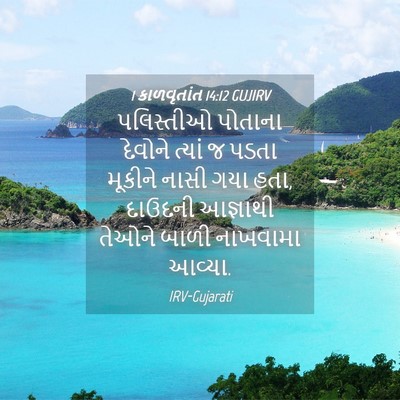 Picture 04 - 1 કાળવૃતાંત 14:12 GUJIRV - પલિસ્તીઓ પોતાના - Bible Verse Picture