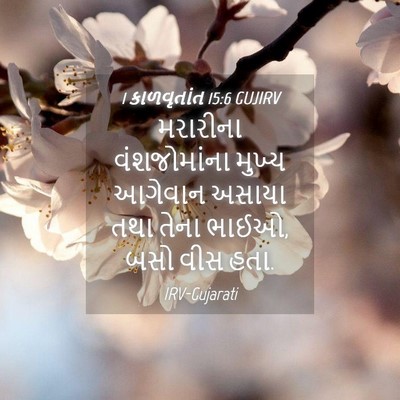 Picture 04 - 1 કાળવૃતાંત 15:6 GUJIRV - મરારીના - Bible Verse Picture