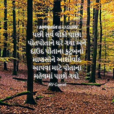 Picture 04 - 1 કાળવૃતાંત 16:43 GUJIRV - પછી સર્વ લોકો પાછા - Bible Verse Picture