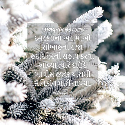 Picture 04 - 1 કાળવૃતાંત 18:5 GUJIRV - દમસ્કસના અરામીઓ - Bible Verse Picture