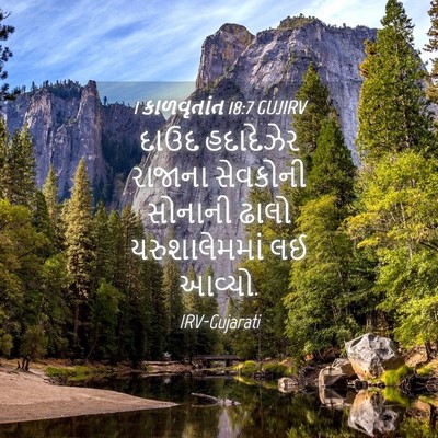 Picture 04 - 1 કાળવૃતાંત 18:7 GUJIRV - દાઉદ હદાદેઝેર - Bible Verse Picture