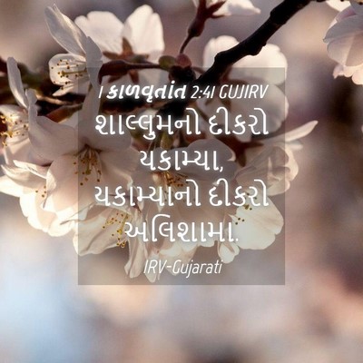 Picture 04 - 1 કાળવૃતાંત 2:41 GUJIRV - શાલ્લુમનો દીકરો - Bible Verse Picture