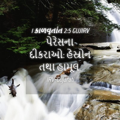 Picture 04 - 1 કાળવૃતાંત 2:5 GUJIRV - પેરેસના દીકરાઓ: - Bible Verse Picture
