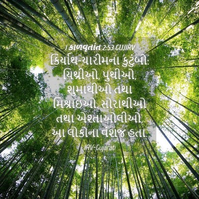 Picture 04 - 1 કાળવૃતાંત 2:53 GUJIRV - કિર્યાથ-યારીમના - Bible Verse Picture