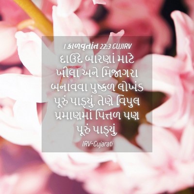 Picture 04 - 1 કાળવૃતાંત 22:3 GUJIRV - દાઉદે બારણાં માટે - Bible Verse Picture