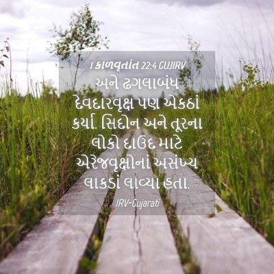 Picture 04 - 1 કાળવૃતાંત 22:4 GUJIRV - અને ઢગલાબંધ - Bible Verse Picture