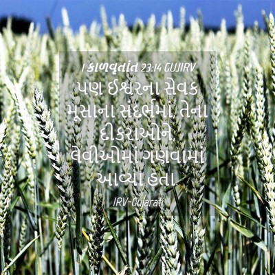 Picture 04 - 1 કાળવૃતાંત 23:14 GUJIRV - પણ ઈશ્વરના સેવક - Bible Verse Picture