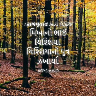 Picture 04 - 1 કાળવૃતાંત 24:25 GUJIRV - મિખાનો ભાઈ - Bible Verse Picture
