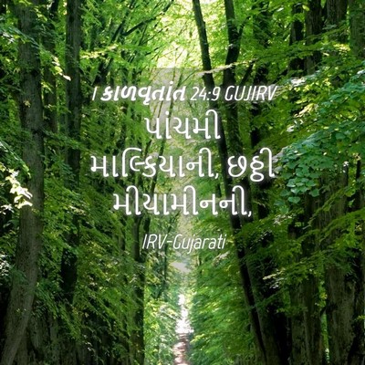 Picture 04 - 1 કાળવૃતાંત 24:9 GUJIRV - પાંચમી - Bible Verse Picture