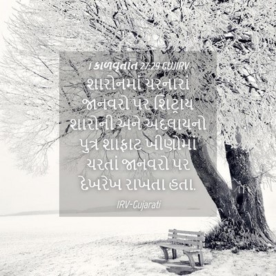 Picture 04 - 1 કાળવૃતાંત 27:29 GUJIRV - શારોનમાં ચરનારાં - Bible Verse Picture