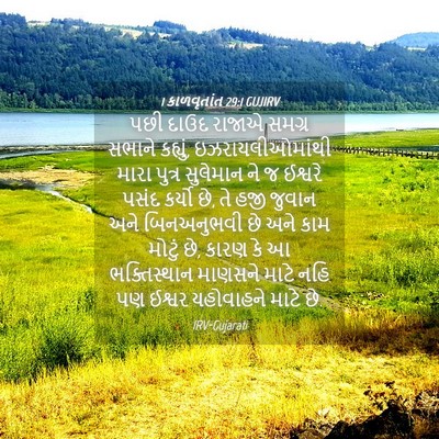 Picture 04 - 1 કાળવૃતાંત 29:1 GUJIRV - પછી દાઉદ રાજાએ - Bible Verse Picture