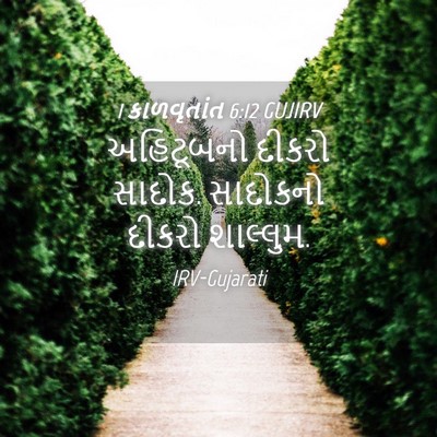 Picture 04 - 1 કાળવૃતાંત 6:12 GUJIRV - અહિટૂબનો દીકરો - Bible Verse Picture