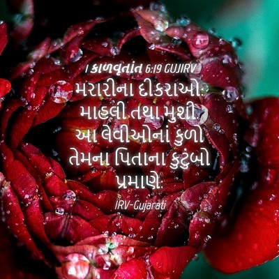 Picture 04 - 1 કાળવૃતાંત 6:19 GUJIRV - મરારીના દીકરાઓ: - Bible Verse Picture