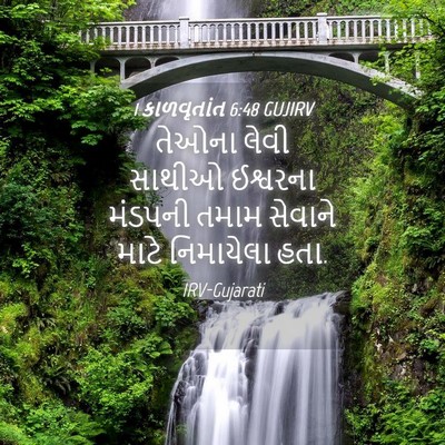 Picture 04 - 1 કાળવૃતાંત 6:48 GUJIRV - તેઓના લેવી સાથીઓ - Bible Verse Picture