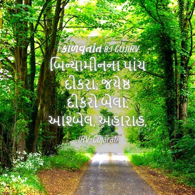 Picture 04 - 1 કાળવૃતાંત 8:1 GUJIRV - બિન્યામીનના પાંચ - Bible Verse Picture