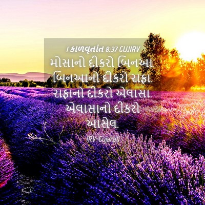Picture 04 - 1 કાળવૃતાંત 8:37 GUJIRV - મોસાનો દીકરો બિનઆ. - Bible Verse Picture