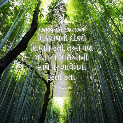 Picture 04 - 1 કાળવૃતાંત 9:38 GUJIRV - મિકલોથનો દીકરો - Bible Verse Picture