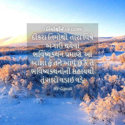 Picture 04 - 1 તિમોથીને 1:18 GUJIRV - દીકરા તિમોથી, તારા - Bible Verse Picture