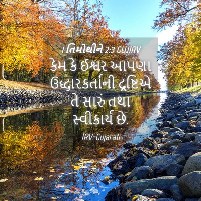 Picture 04 - 1 તિમોથીને 2:3 GUJIRV - કેમ કે ઈશ્વર આપણા - Bible Verse Picture