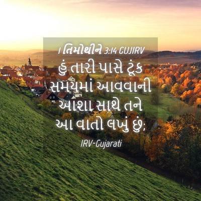 Picture 04 - 1 તિમોથીને 3:14 GUJIRV - હું તારી પાસે ટૂંક - Bible Verse Picture