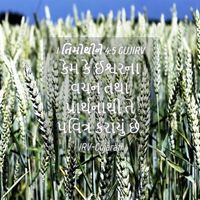 Picture 04 - 1 તિમોથીને 4:5 GUJIRV - કેમ કે ઈશ્વરના વચન - Bible Verse Picture