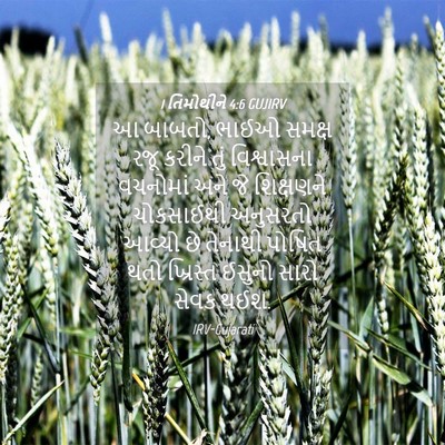 Picture 04 - 1 તિમોથીને 4:6 GUJIRV - આ બાબતો, ભાઈઓ સમક્ષ - Bible Verse Picture