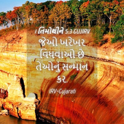 Picture 04 - 1 તિમોથીને 5:3 GUJIRV - જેઓ ખરેખર વિધવાઓ - Bible Verse Picture