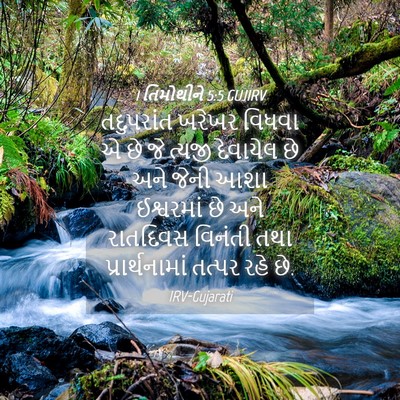 Picture 04 - 1 તિમોથીને 5:5 GUJIRV - તદુપરાંત ખરેખર - Bible Verse Picture