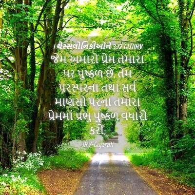Picture 04 - 1 થેસ્સલોનિકીઓને 3:12 GUJIRV - જેમ અમારો પ્રેમ - Bible Verse Picture