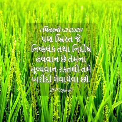 Picture 04 - 1 પિતરનો 1:19 GUJIRV - પણ ખ્રિસ્ત જે - Bible Verse Picture