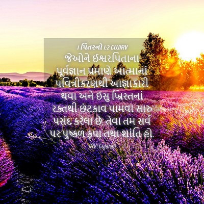 Picture 04 - 1 પિતરનો 1:2 GUJIRV - જેઓને ઈશ્વરપિતાના - Bible Verse Picture