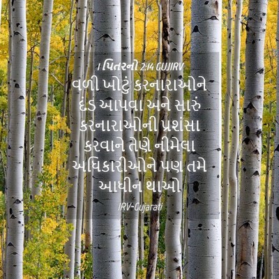 Picture 04 - 1 પિતરનો 2:14 GUJIRV - વળી ખોટું - Bible Verse Picture