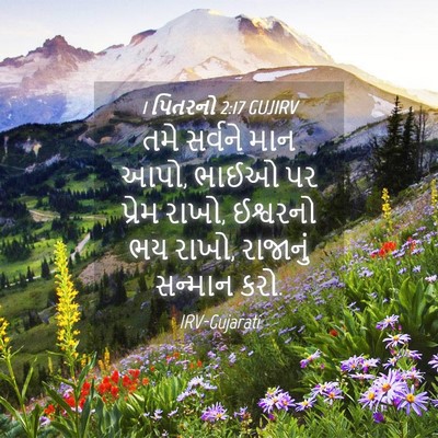 Picture 04 - 1 પિતરનો 2:17 GUJIRV - તમે સર્વને માન આપો, - Bible Verse Picture