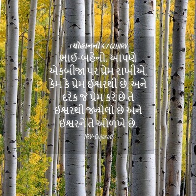 Picture 04 - 1 યોહાનનો 4:7 GUJIRV - ભાઈ-બહેનો, આપણે - Bible Verse Picture