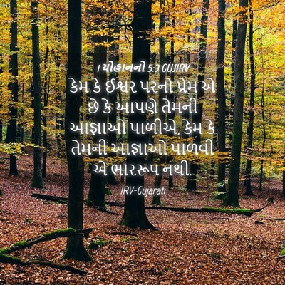 Picture 04 - 1 યોહાનનો 5:3 GUJIRV - કેમ કે ઈશ્વર પરનો - Bible Verse Picture