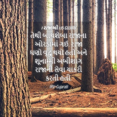 Picture 04 - 1 રાજાઓ 1:15 GUJIRV - તેથી બાથશેબા - Bible Verse Picture