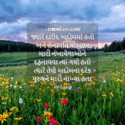 Picture 04 - 1 રાજાઓ 11:15 GUJIRV - જ્યારે દાઉદ - Bible Verse Picture