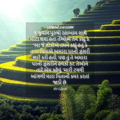Picture 04 - 1 રાજાઓ 12:10 GUJIRV - જે જુવાન પુરુષો - Bible Verse Picture