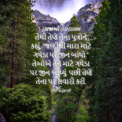 Picture 04 - 1 રાજાઓ 13:13 GUJIRV - તેથી તેણે તેના - Bible Verse Picture