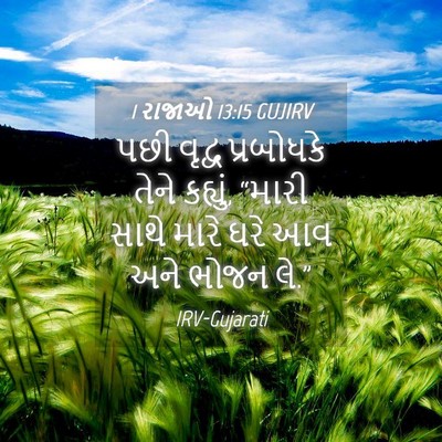Picture 04 - 1 રાજાઓ 13:15 GUJIRV - પછી વૃદ્વ - Bible Verse Picture