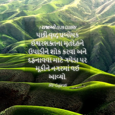 Picture 04 - 1 રાજાઓ 13:29 GUJIRV - પછી વૃદ્ધ પ્રબોધક - Bible Verse Picture