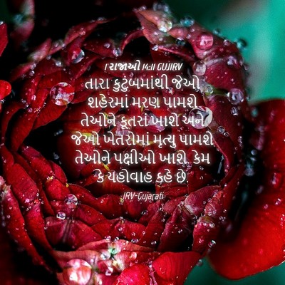 Picture 04 - 1 રાજાઓ 14:11 GUJIRV - તારા કુટુંબમાંથી - Bible Verse Picture