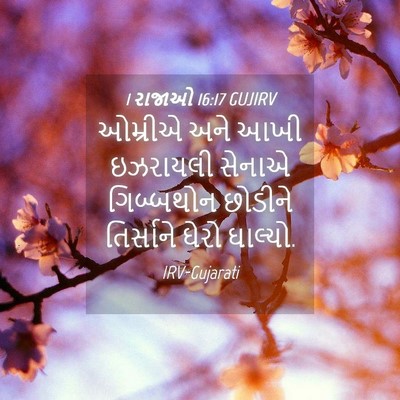 Picture 04 - 1 રાજાઓ 16:17 GUJIRV - ઓમ્રીએ અને આખી - Bible Verse Picture