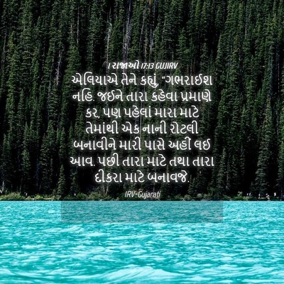 Picture 04 - 1 રાજાઓ 17:13 GUJIRV - એલિયાએ તેને - Bible Verse Picture