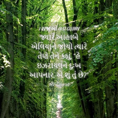 Picture 04 - 1 રાજાઓ 18:17 GUJIRV - જ્યારે આહાબે - Bible Verse Picture