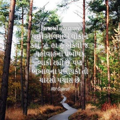 Picture 04 - 1 રાજાઓ 18:22 GUJIRV - પછી એલિયાએ લોકોને - Bible Verse Picture