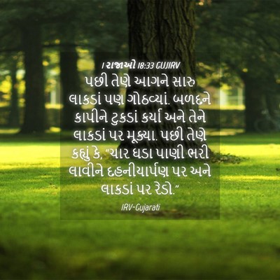 Picture 04 - 1 રાજાઓ 18:33 GUJIRV - પછી તેણે આગને સારુ - Bible Verse Picture
